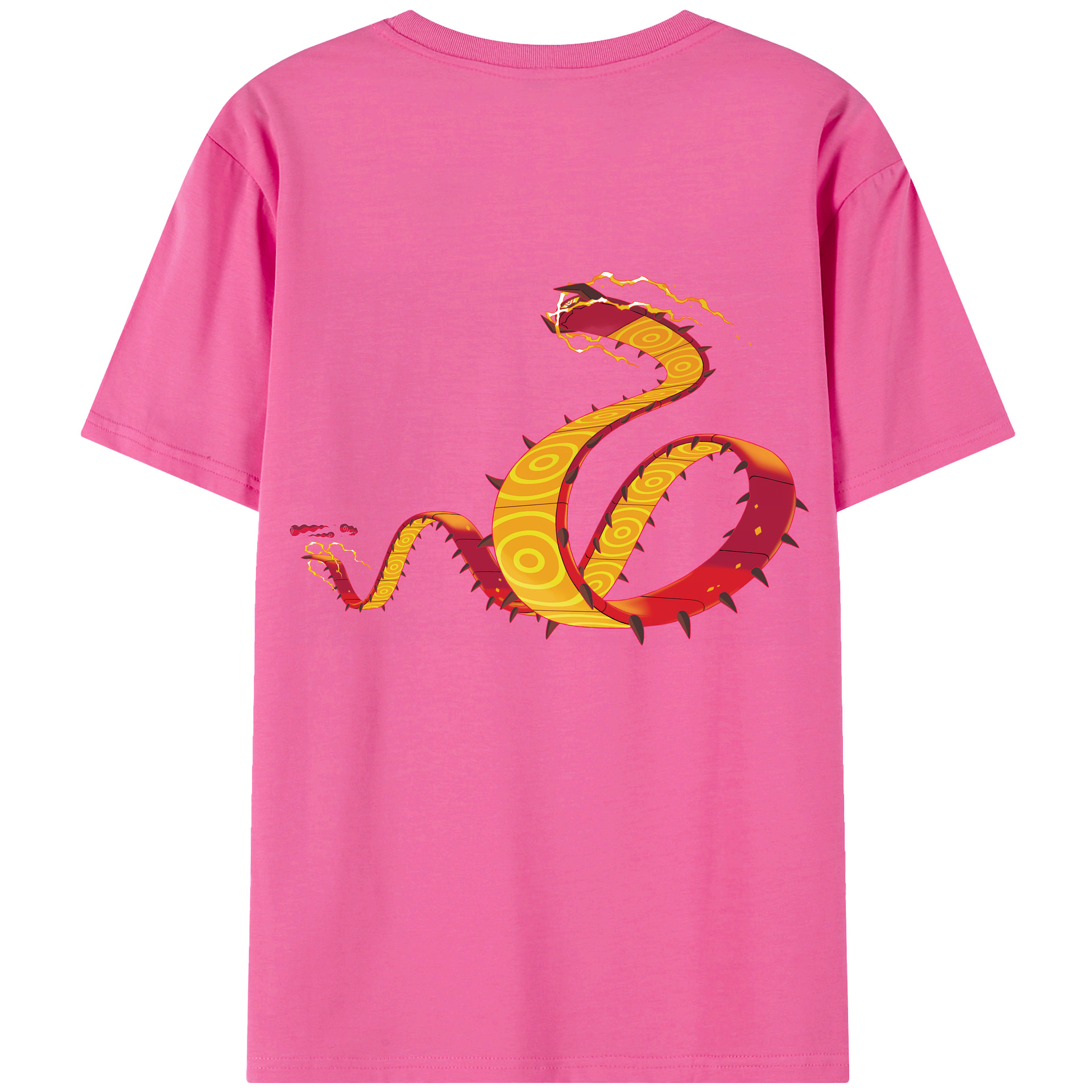 （画像用） ポケットモンスター Pokémon レディース半袖Tシャツ(バックプリント)